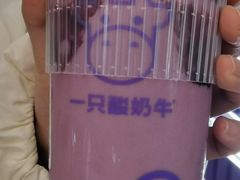 -一只酸奶牛(来福士店)