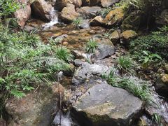 -雁南飞茶田景区
