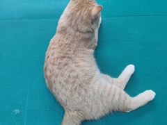 -四维羽毛球馆(北二中路店)