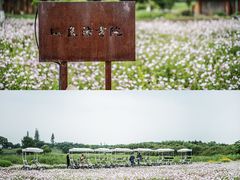 -良渚古城遗址公园