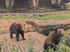 -海南热带野生动植物园