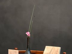 -觀芷隐轩