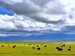 -青海湖国家重点风景名胜区