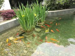 -仙林宾馆-餐厅