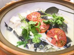 -全乐鱼馆·淳牌有机鱼直营店