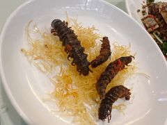 -宋艳华餐馆(凤凰美食城店)