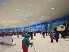 -湘江欢乐城欢乐雪域