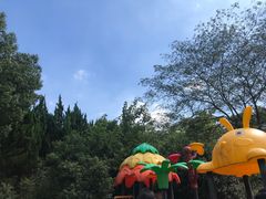-白马涧龙池景区