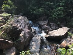 -广州白江湖森林公园