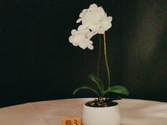-蘇锦宴·淮扬菜烤鸭·小院(三元桥霄云路店)