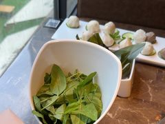 -同仁四季椰子鸡(罗湖国贸店)