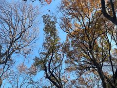 -宝岩生态观光园