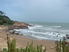 -广东惠东海龟国家级自然保护区