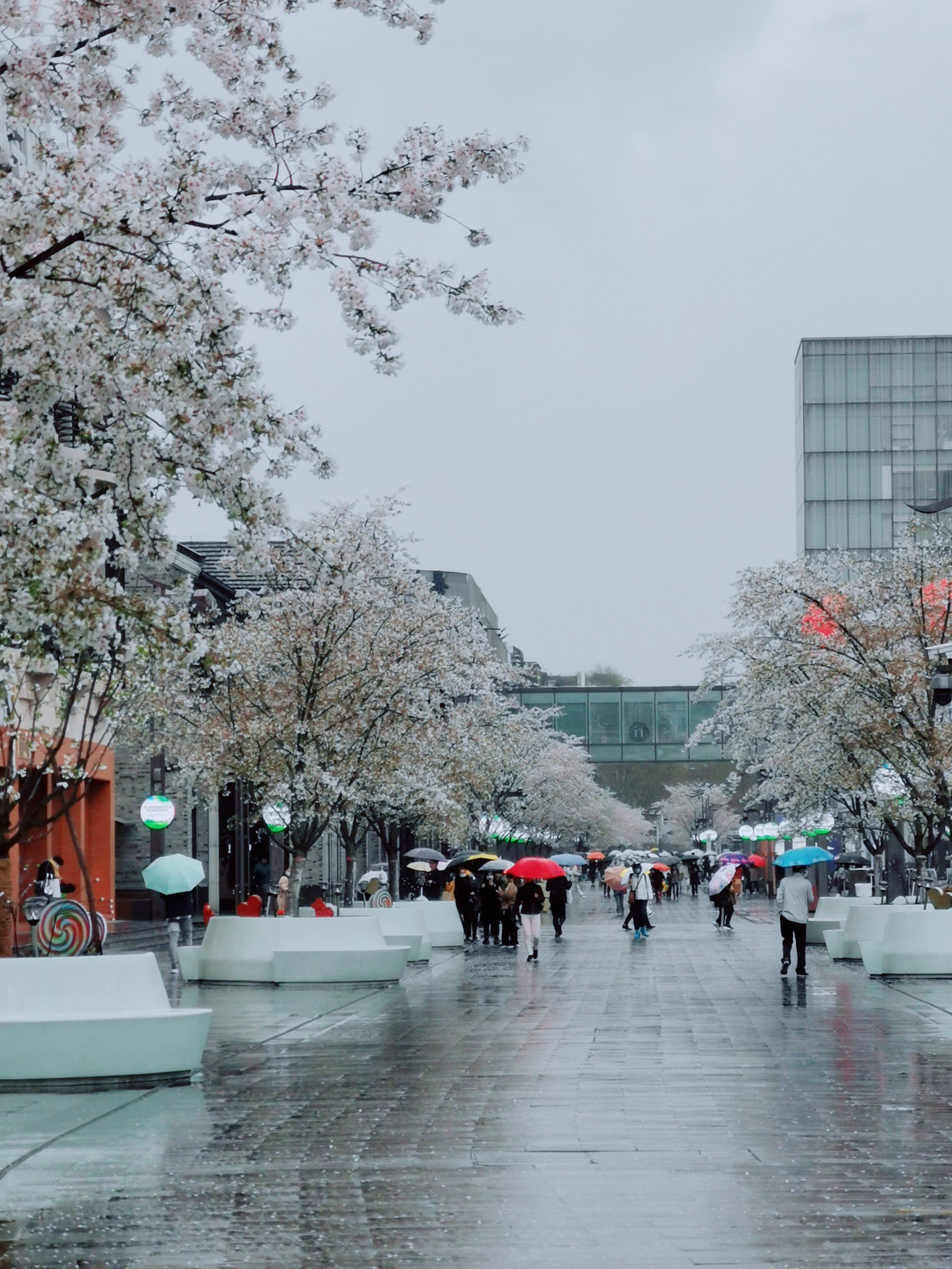 雨中的湖滨路步行街