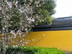 -西园戒幢律寺