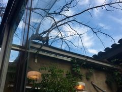 -铃木食堂(帽儿胡同店)