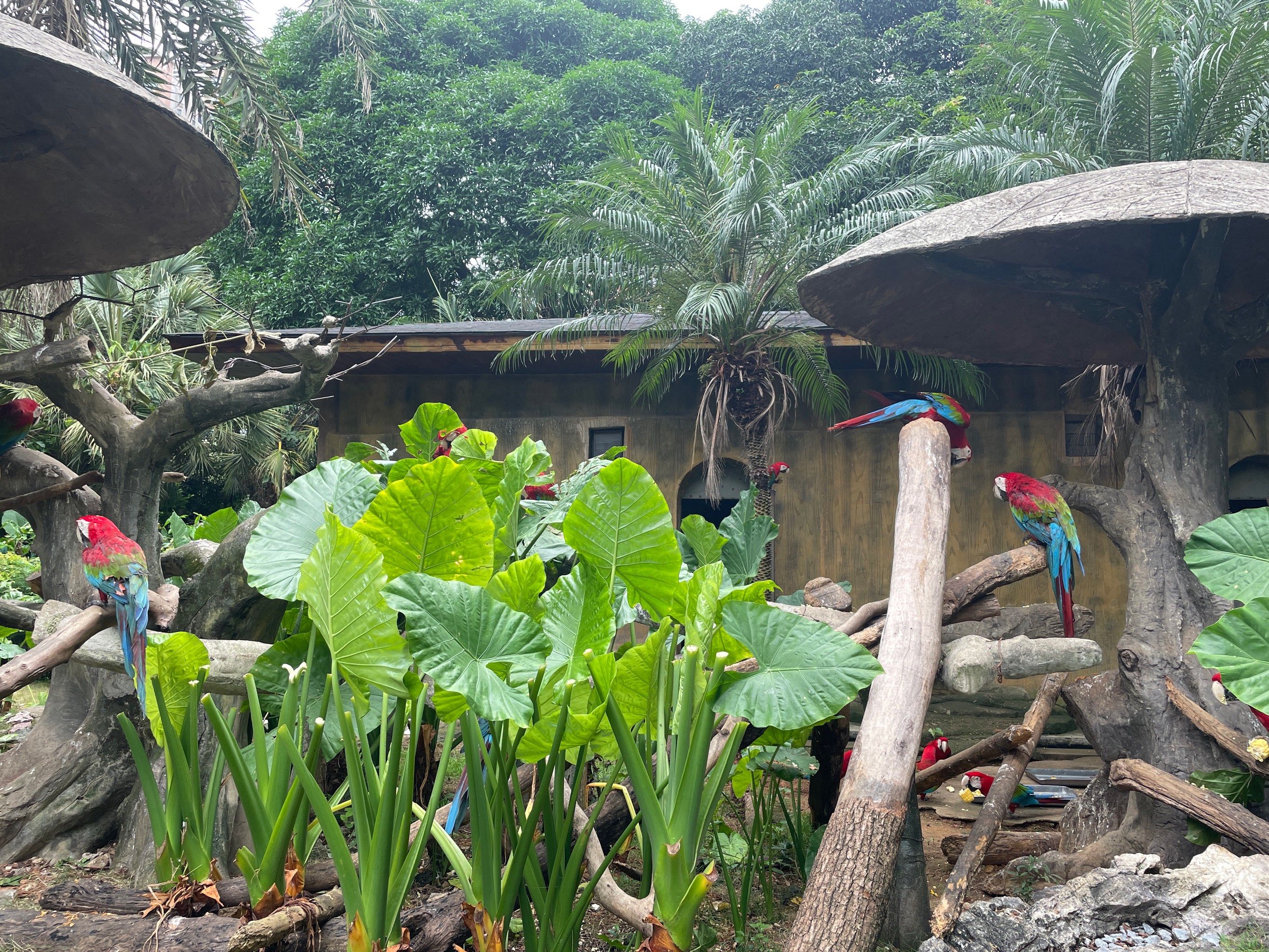 南宁遛娃好去处——南宁动物园