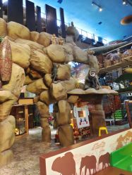 -卡通尼·Safari非洲探索乐园·生日会(金桥国际商业广场店)