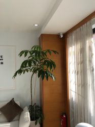 -HEYAN荷妍专业脱毛连锁机构