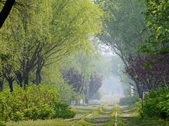 -永定河休闲森林公园