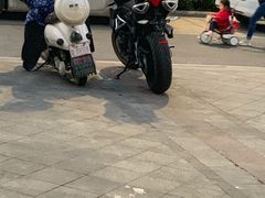 -四季春