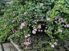 -仁恒西郊花园