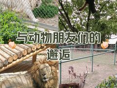 -大蜀山国家森林公园