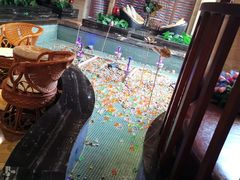 -水晶之星洗浴温泉汗蒸