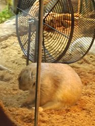 -Zoolung Zoolung动物主题公园(海信广场店)