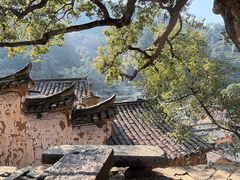 -杨家堂村