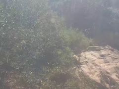 -天马岛度假区
