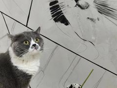 -不作·手工银饰DIY(西红门店)