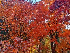 -北京西山国家森林公园