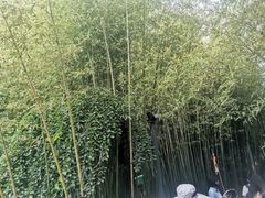-竹泉村旅游度假区
