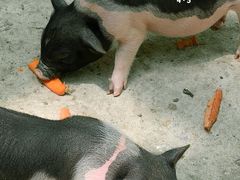 -昆山城市生态森林公园