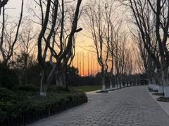 -上海野生动物园