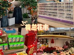 -荷兰花海
