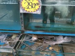 -银座商城(东城店)