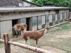 -西安秦岭野生动物园