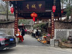 -青城甲(青城山店)