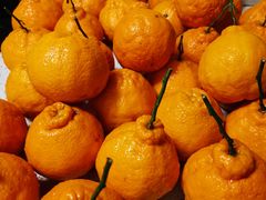 -菜园坝水果市场