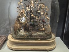 -奇芳阁·百年清真南京菜(夫子庙店)