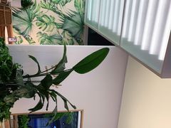 -丹礼糖甜品