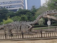 -荔湾区儿童公园