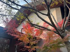 -木守西溪溪隐餐厅