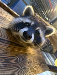 -酷嗒动物文化乐园(cutezoo西溪乐天城店)