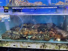-渔民船说·北塘海鲜·天津菜·海肠捞饭(北塘古镇店)