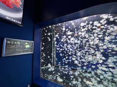 -太平洋海底世界