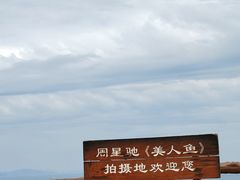 -杨梅坑