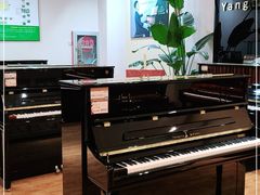 -柏斯琴行(汾阳店)